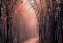 米乐官网：歌手张颜齐晒武磊to签国足球衣，武磊评论：也是神“齐”的一天.