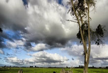 米乐官网：歌手张颜齐晒武磊to签国足球衣，武磊评论：也是神“齐”的一天.