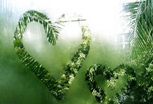 米乐官网：歌手张颜齐晒武磊to签国足球衣，武磊评论：也是神“齐”的一天.