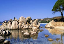 [图]唐创梅开二度 海港客场1-3不敌蓉城让出榜首.